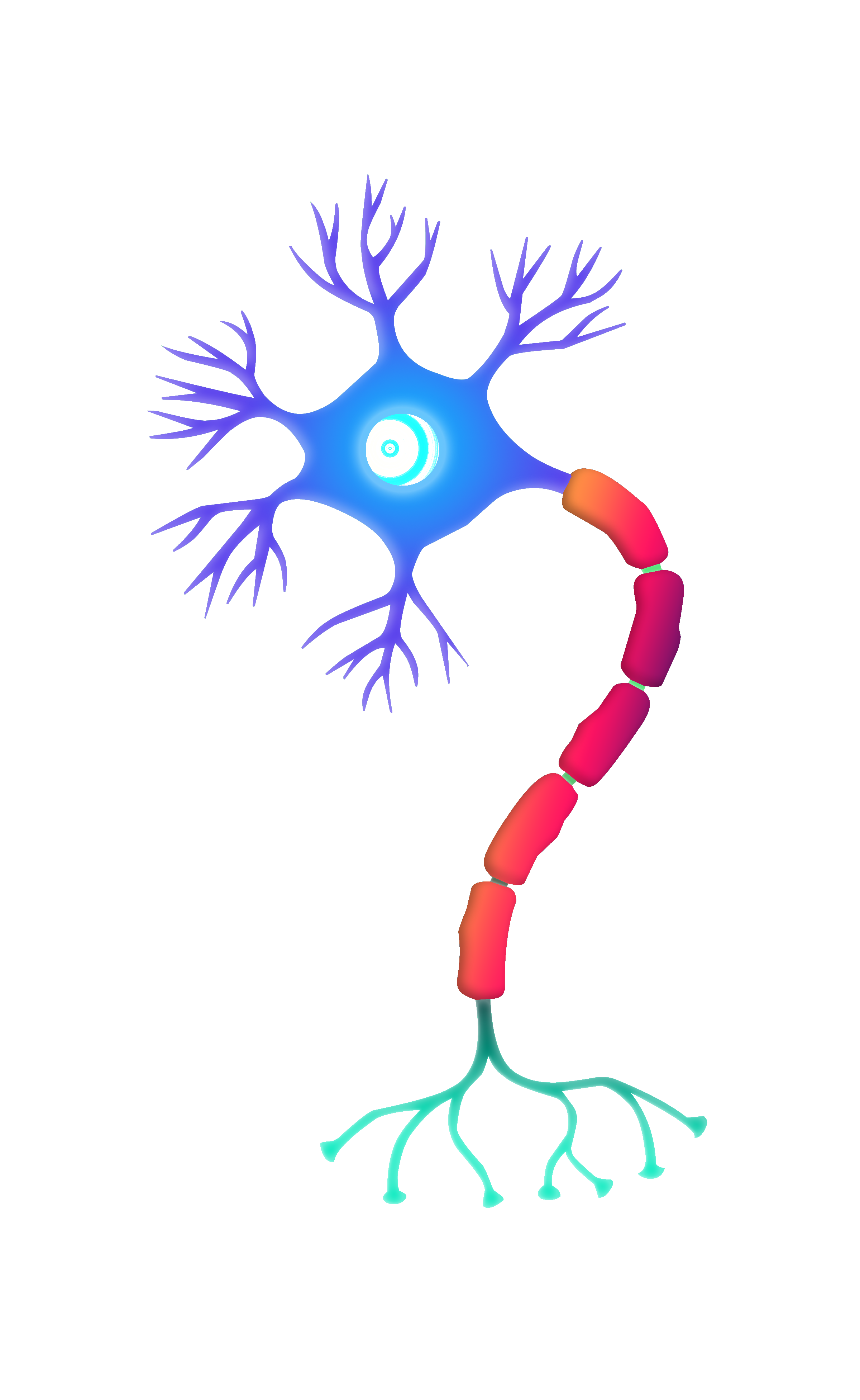神經元細胞與大腦神經網路的顯微影像，象徵 AI 內部的記憶層結構